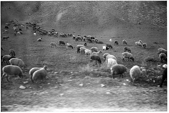 Rural areas, Azerbaijan, 2005
