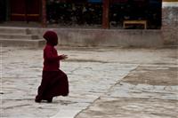 A young monk plays inside the monastery complex.